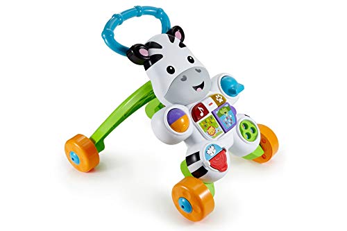 Fisher-Price DLF00 Learn with...
